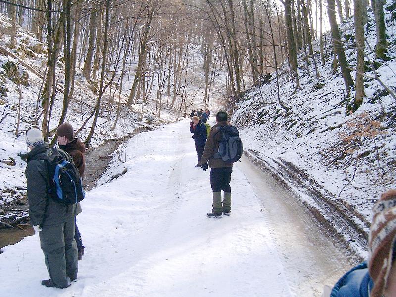 20110122 100.jpg